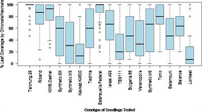A large bioassay identifies Stb resistance genes that provide broad resistance against Septoria tritici blotch disease in the UK